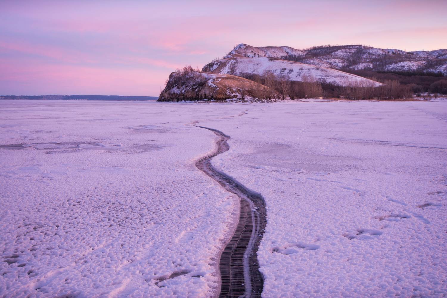 , Алексей Проняхин