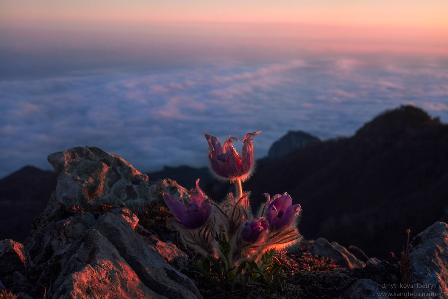 пейзажемагьё, пейзаж-как-виденье, дхьяно-пейзаж, Коваль Дмитр