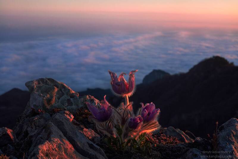 пейзажемагьё, пейзаж-как-виденье, дхьяно-пейзаж В мире снов Крымских гор … фото превью