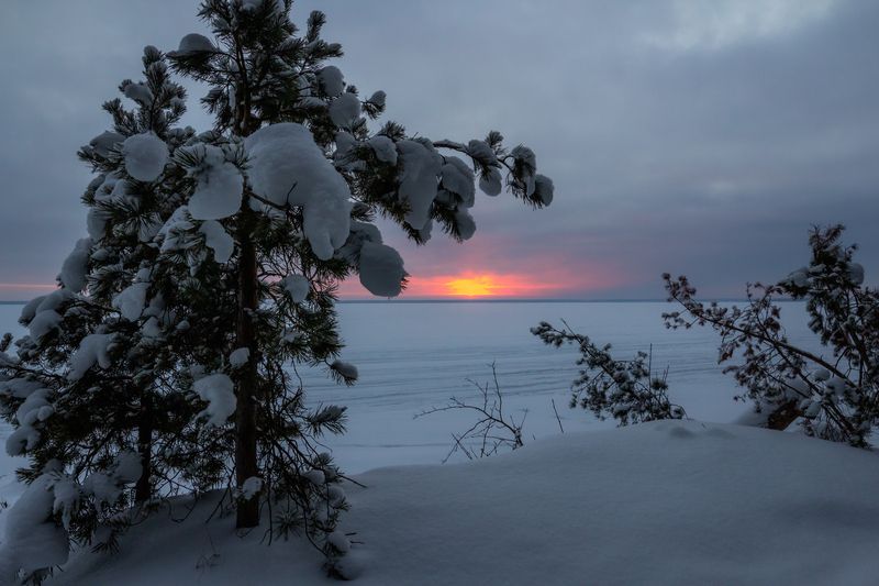 Январский вечер фото превью