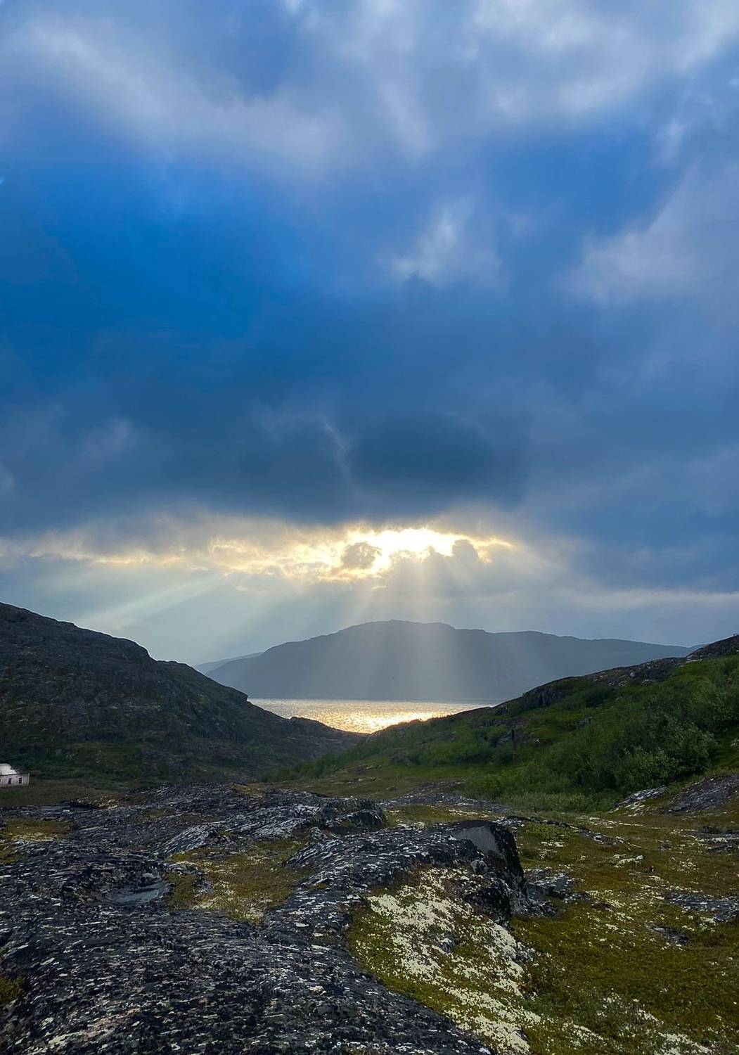 , Всеволод Сахновский