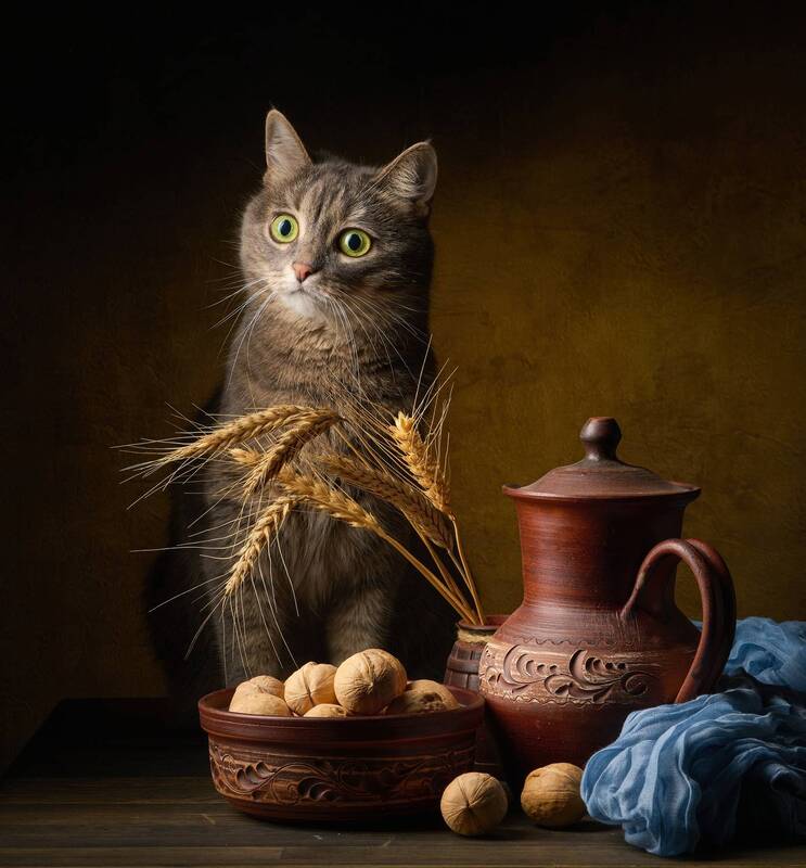 Полукровка и орехи фото превью