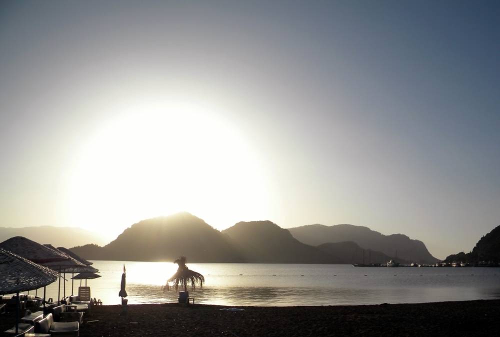 , Савоцкий Роман