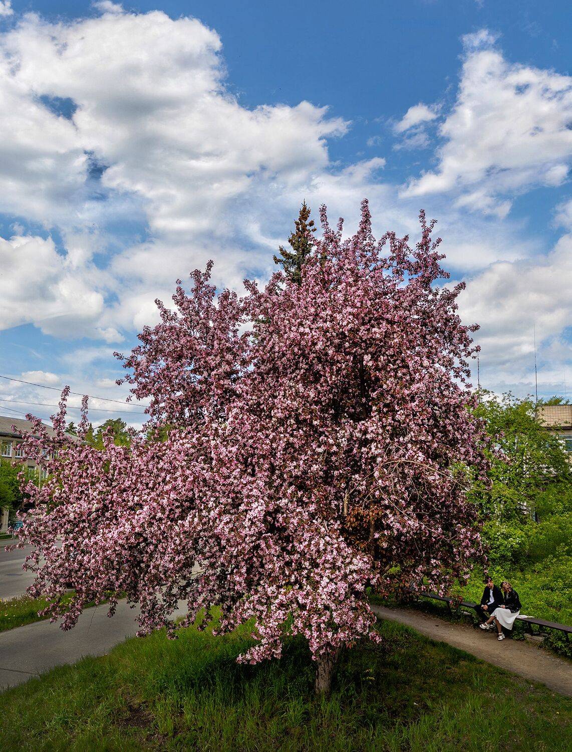 , Ушаков Валерий