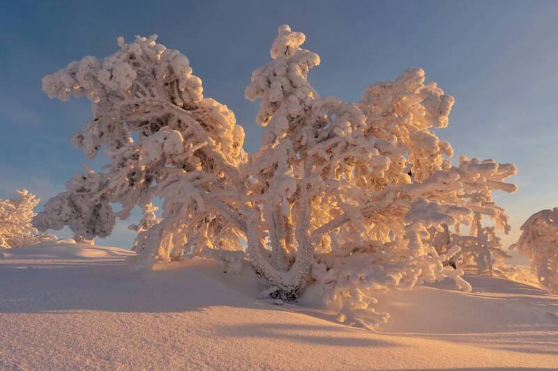 В зимнем убранстве фото превью