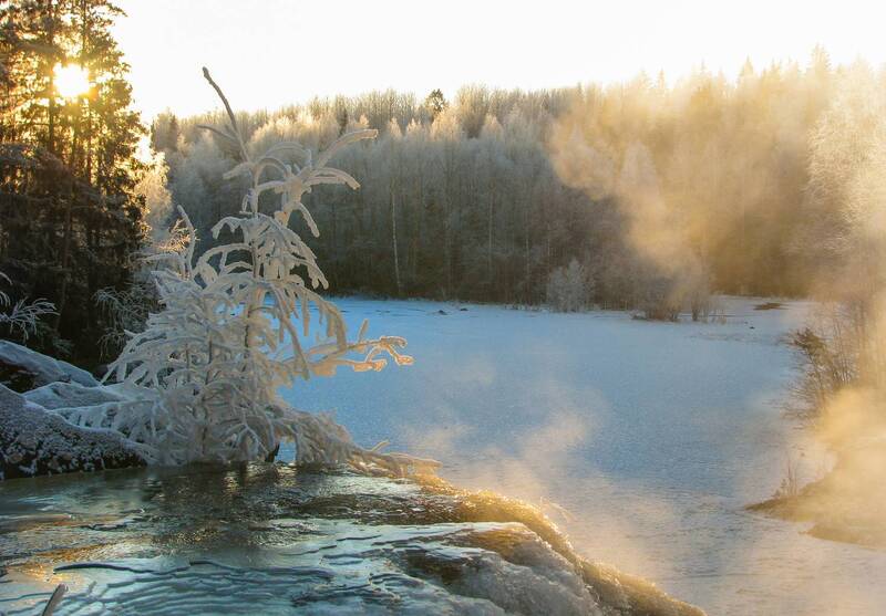 Мороз фото превью