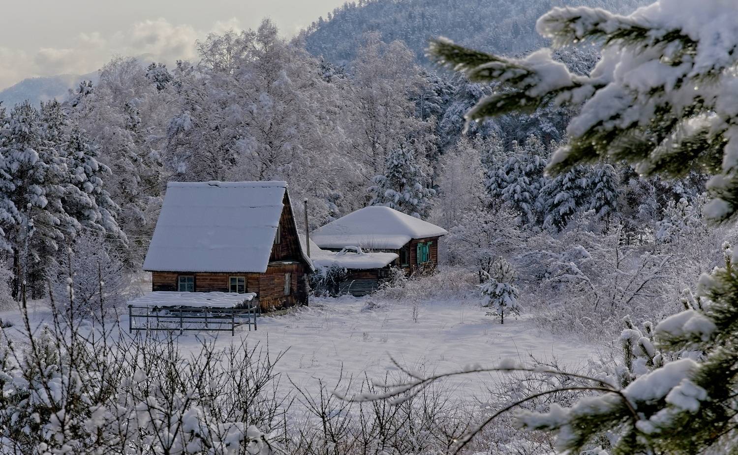 , Игорь Щербаков