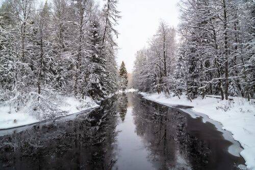 Зазеркалье