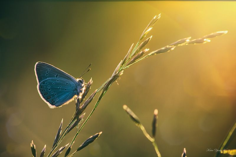 Закат еще одного прожитого дня фото превью