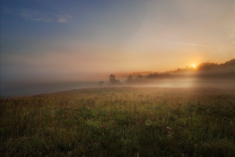 sunrise, morning, mist, summer, meadow, light Misty meadow фото превью