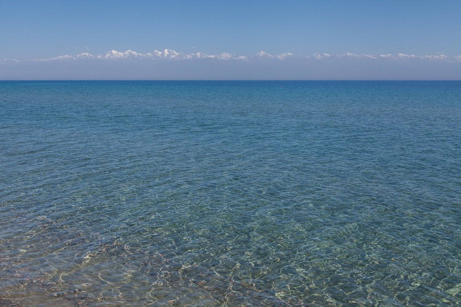 , Дмитрий Кривопалов