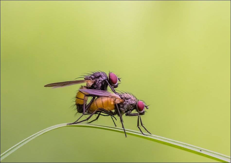 , Бурлов Андрей