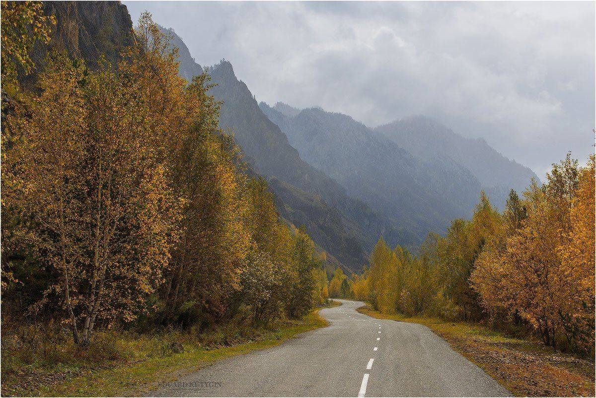 Осеннее. Автор: Кутыгин Эдуард , Кутыгин Эдуард