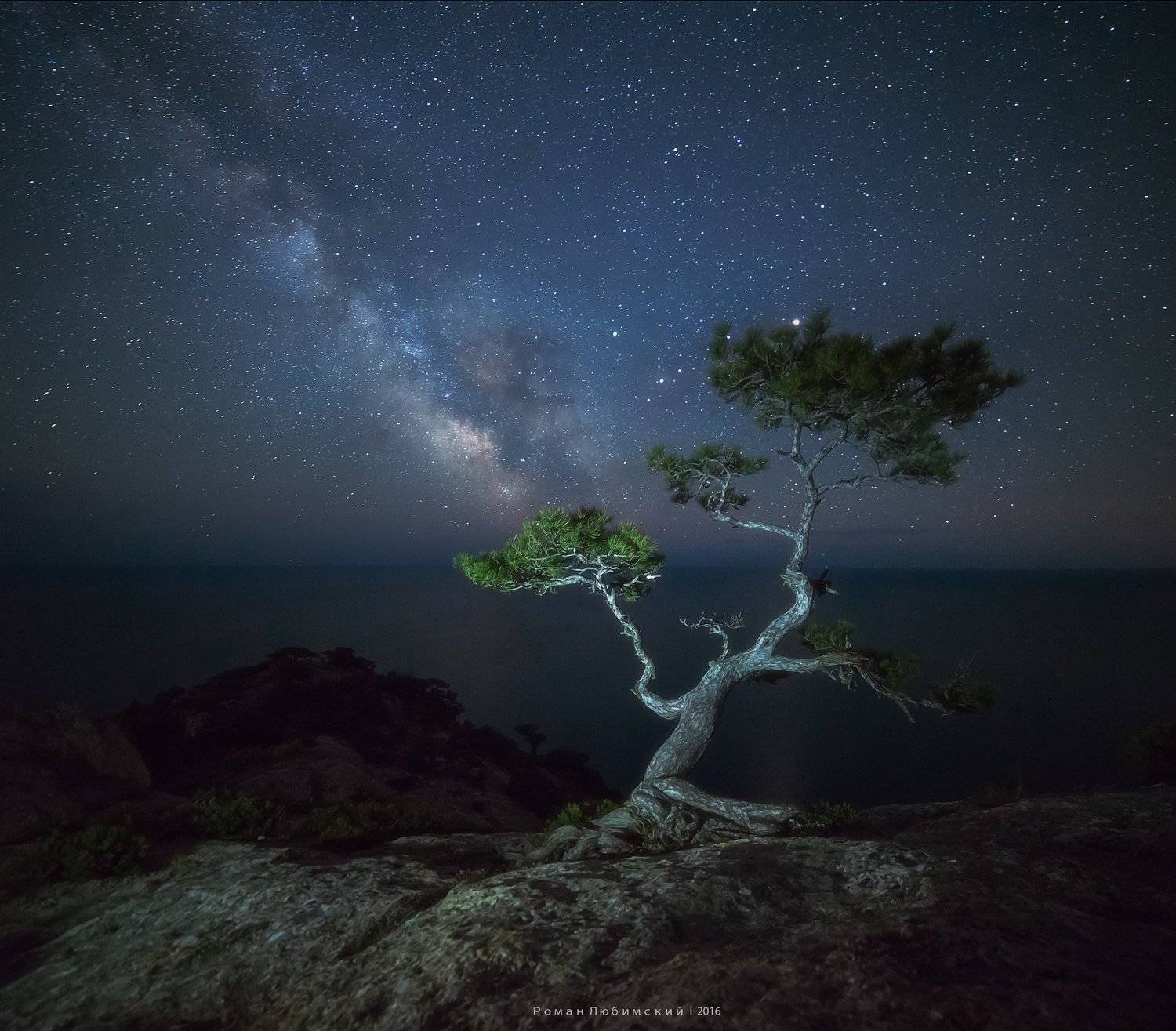 ночная фотография, крым, судак, сосна, млечный путь, звезды, пейзаж, длинная выдержка, галактика, Роман Любимский