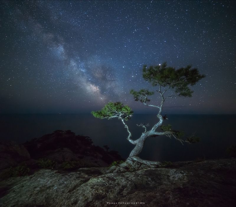 ночная фотография, крым, судак, сосна, млечный путь, звезды, пейзаж, длинная выдержка, галактика Открытый Космос фото превью