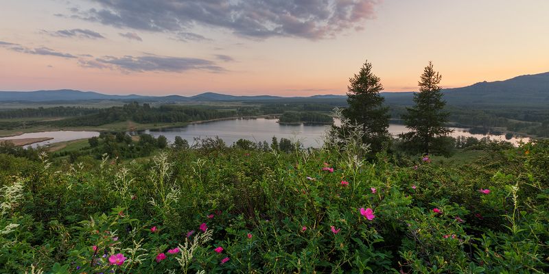 Вечерний букет фото превью