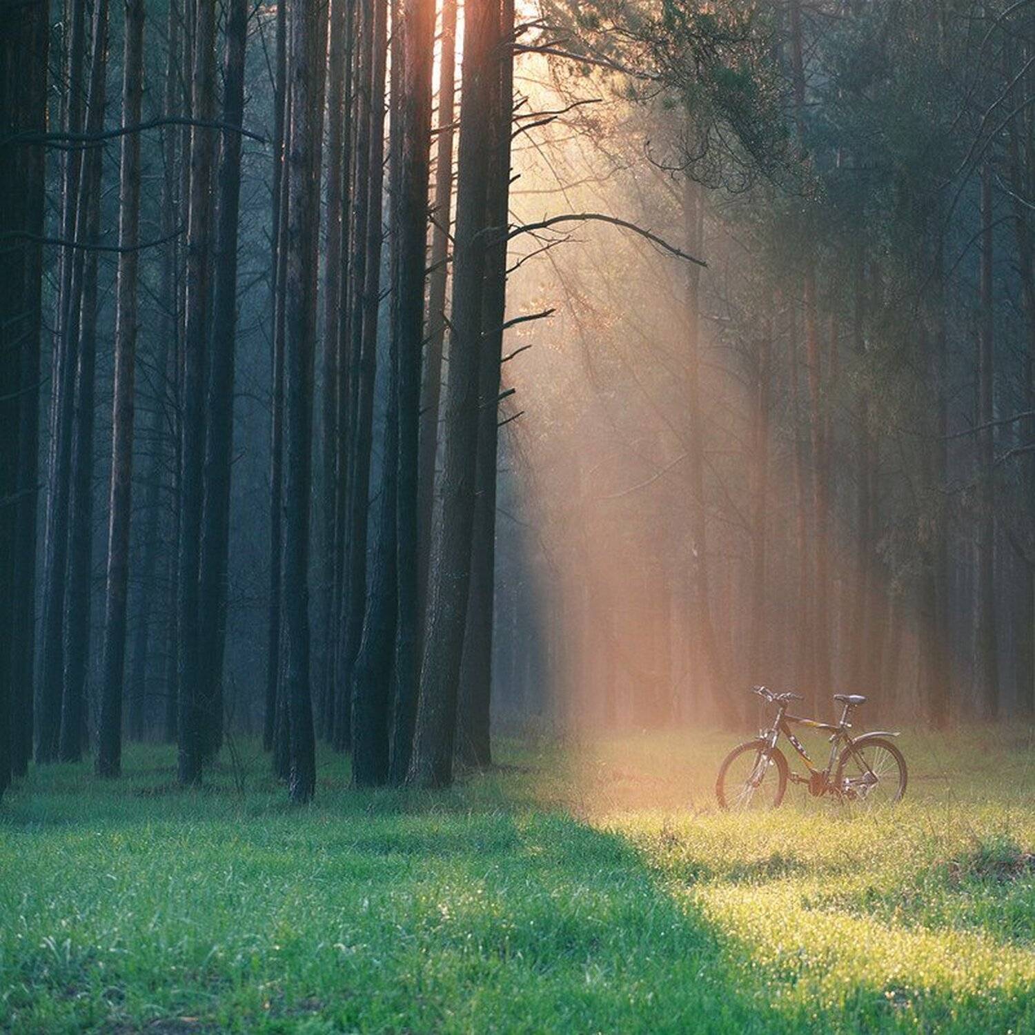 , Михалюк Сергей.