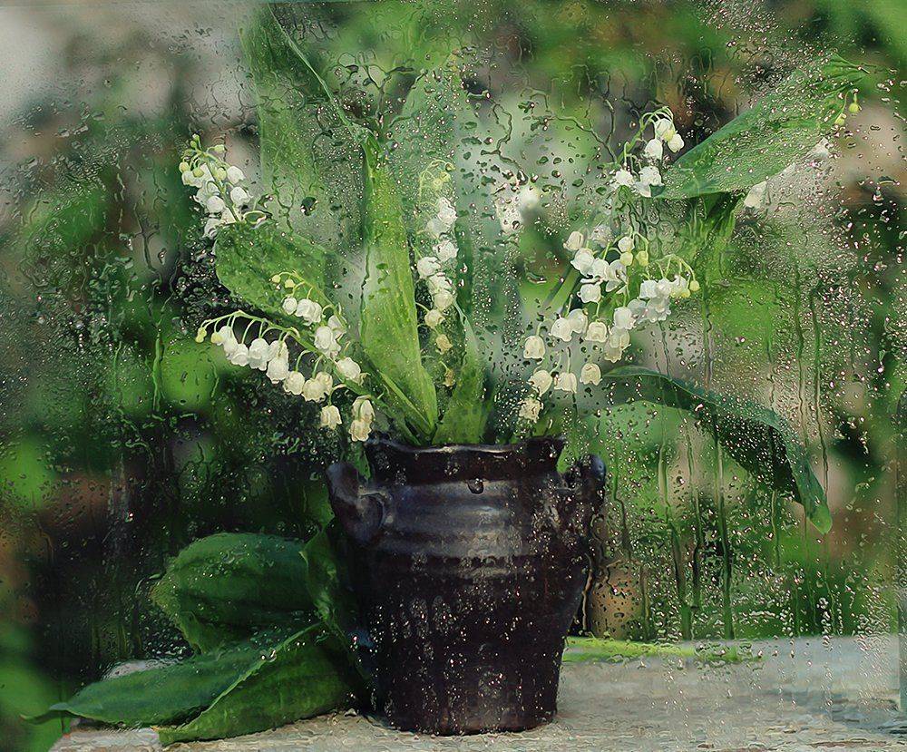 Ваза, Дождь, Капли, Ландыши, Стекло, Инна Сухова