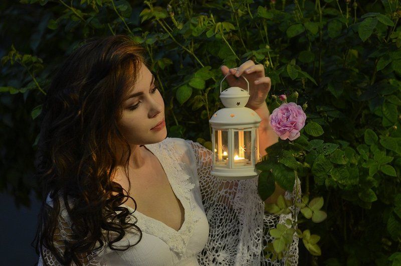 Тайна садовой розы фото превью