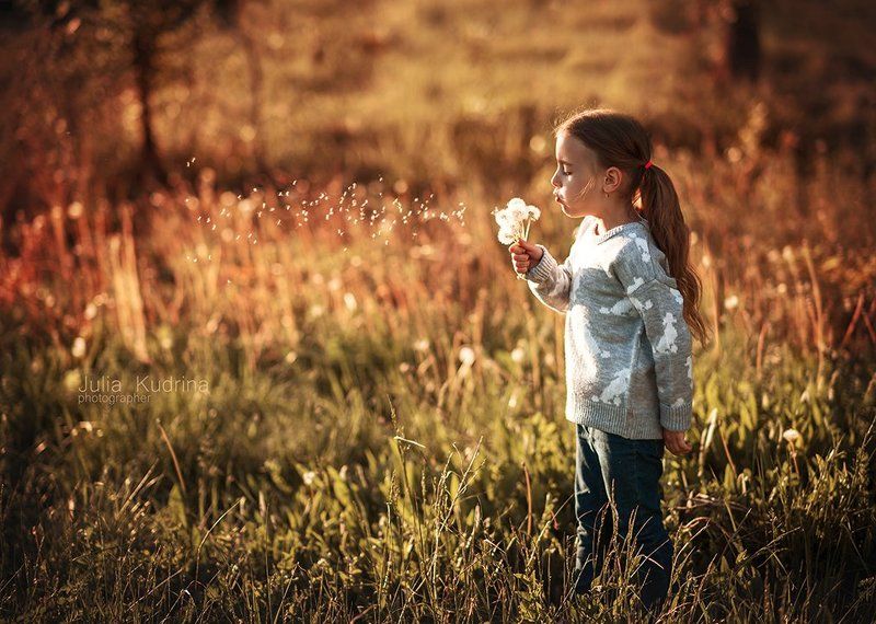 Девочка, Детский портрет, Закат, Одуванчики, Ребенок, Свет, Сирень, Солнце Василиса фото превью