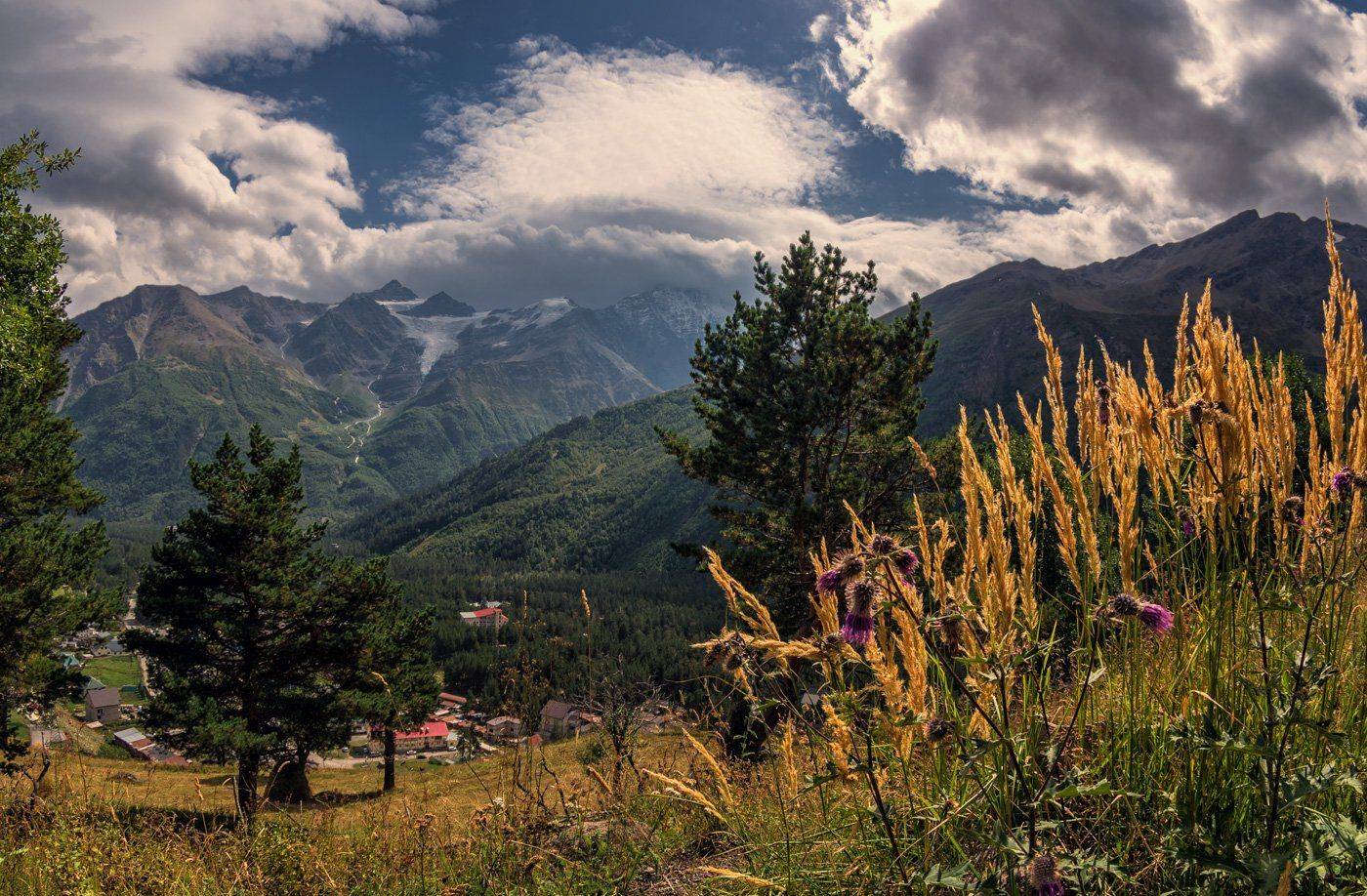 , Игорь Мелекесцев