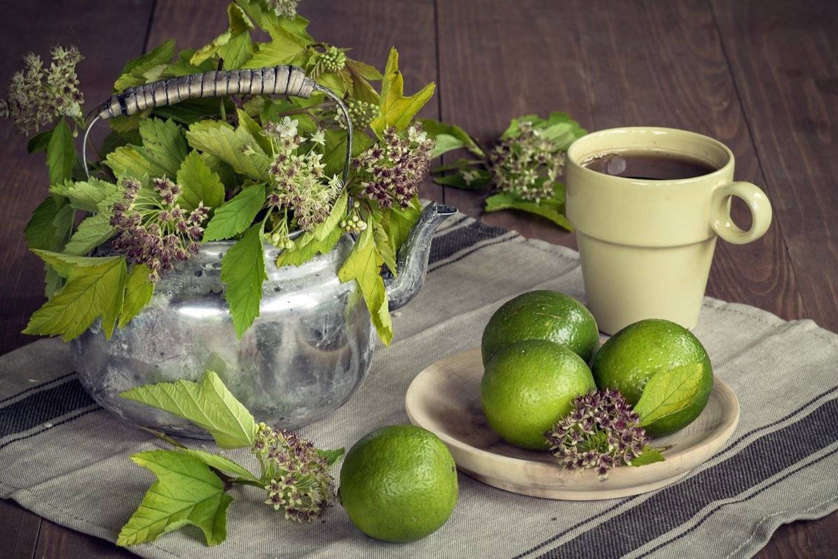 , Наталья Бочкарева