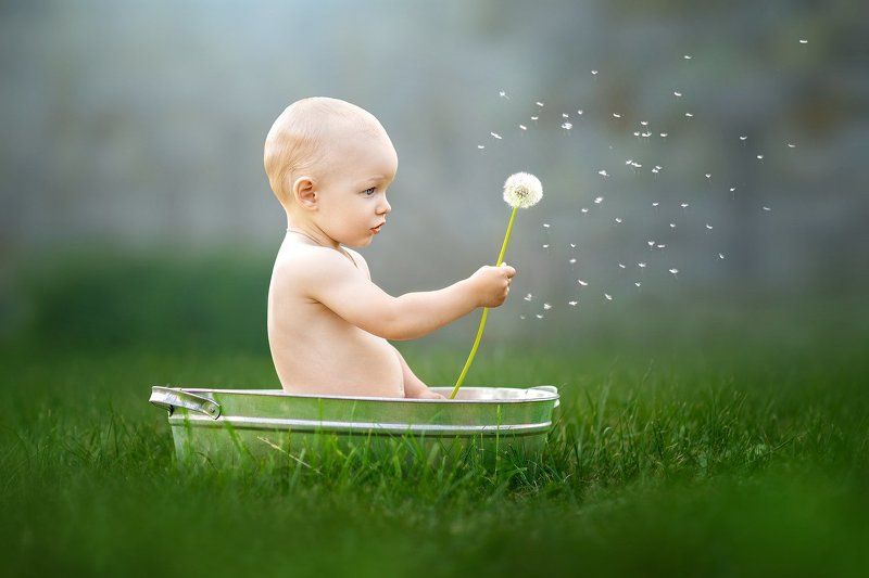 малыш мальчик семья дети ребенок любовь лето природа семья малыш фото превью