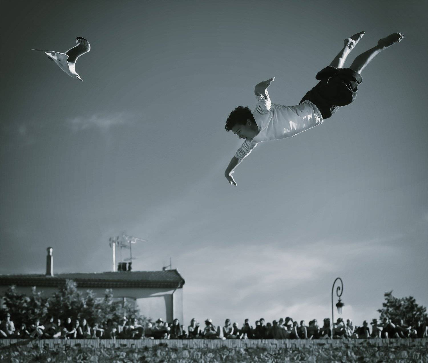 Акробат, Артист, Батутист, Выступление, Зрители, Парень, Полёт, Птица, Чайка, ALLA SOKOLOVA