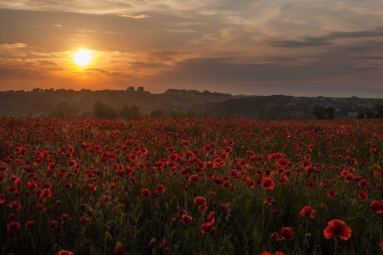 , Володимир Карчевський