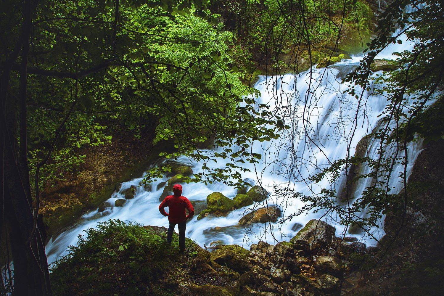 , Mindia Charkseliani