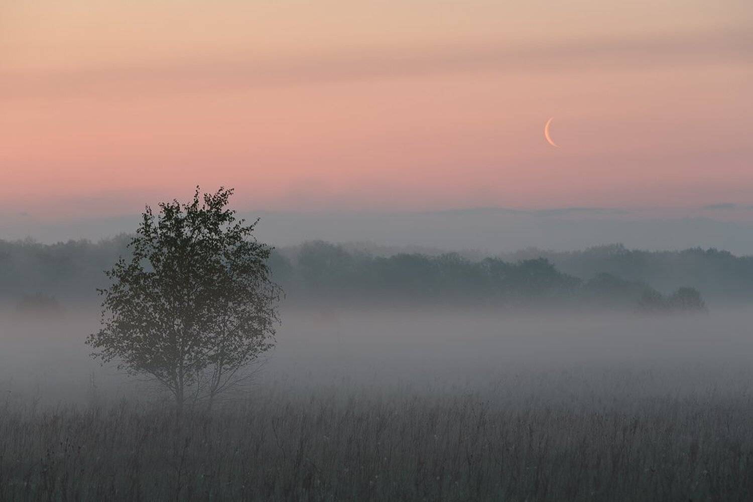 , Юрий Сорокин