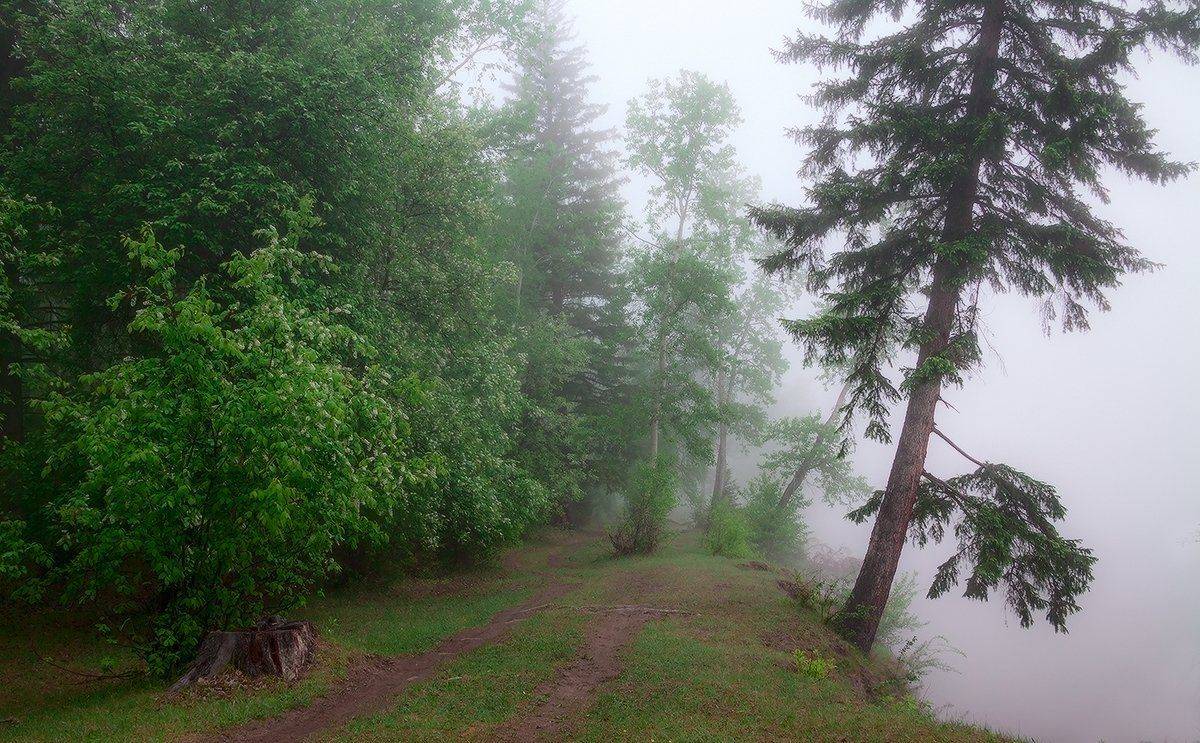 , Николай Морский