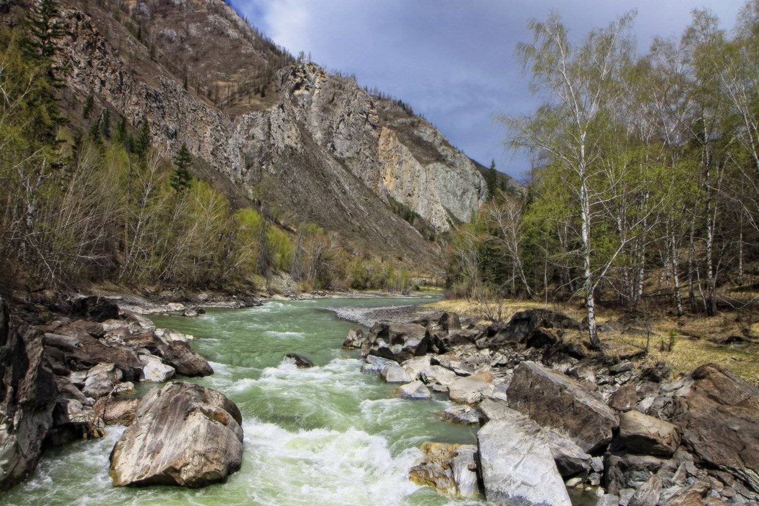 , Галина Хвостенко