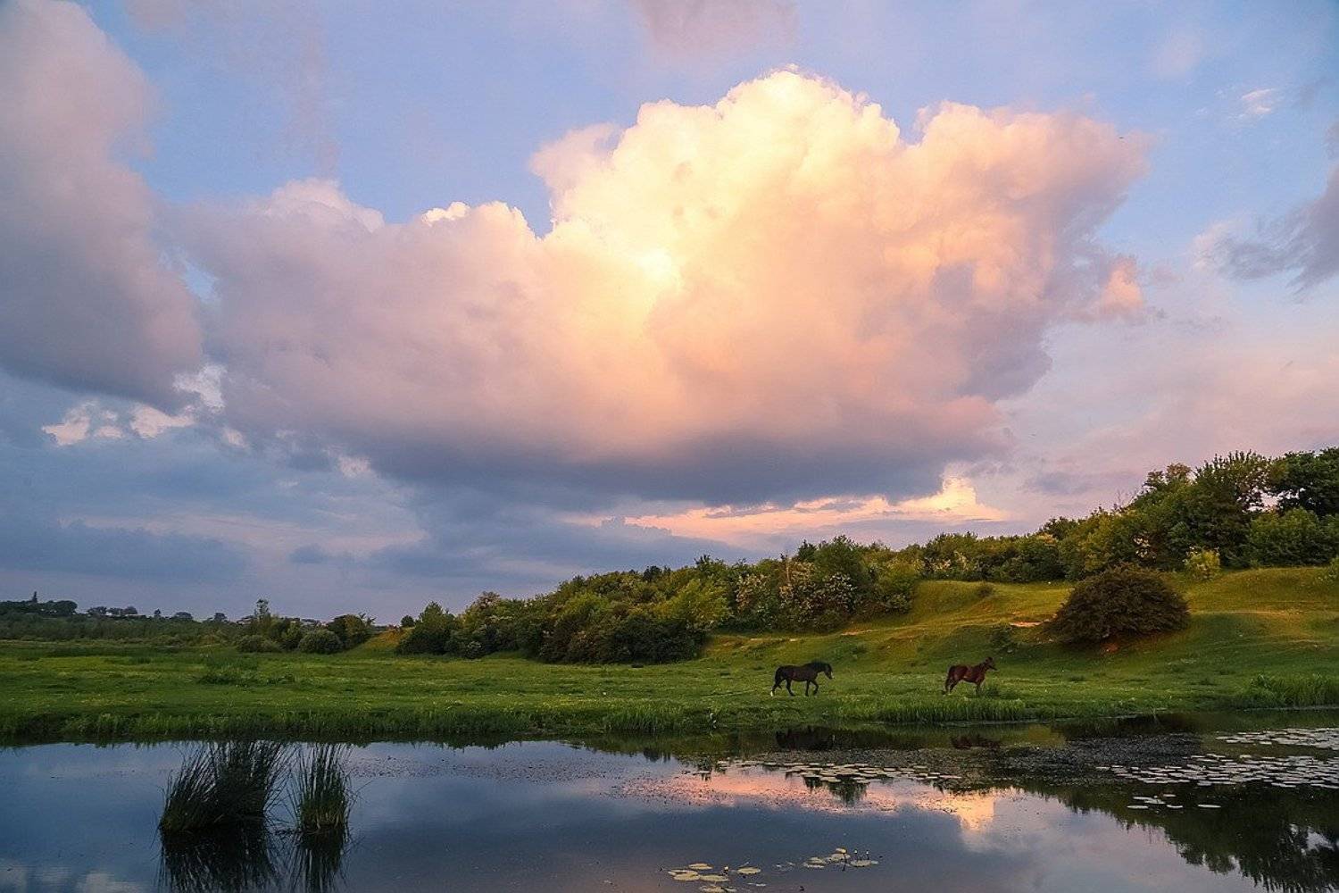 , Вячеслав Мищенко