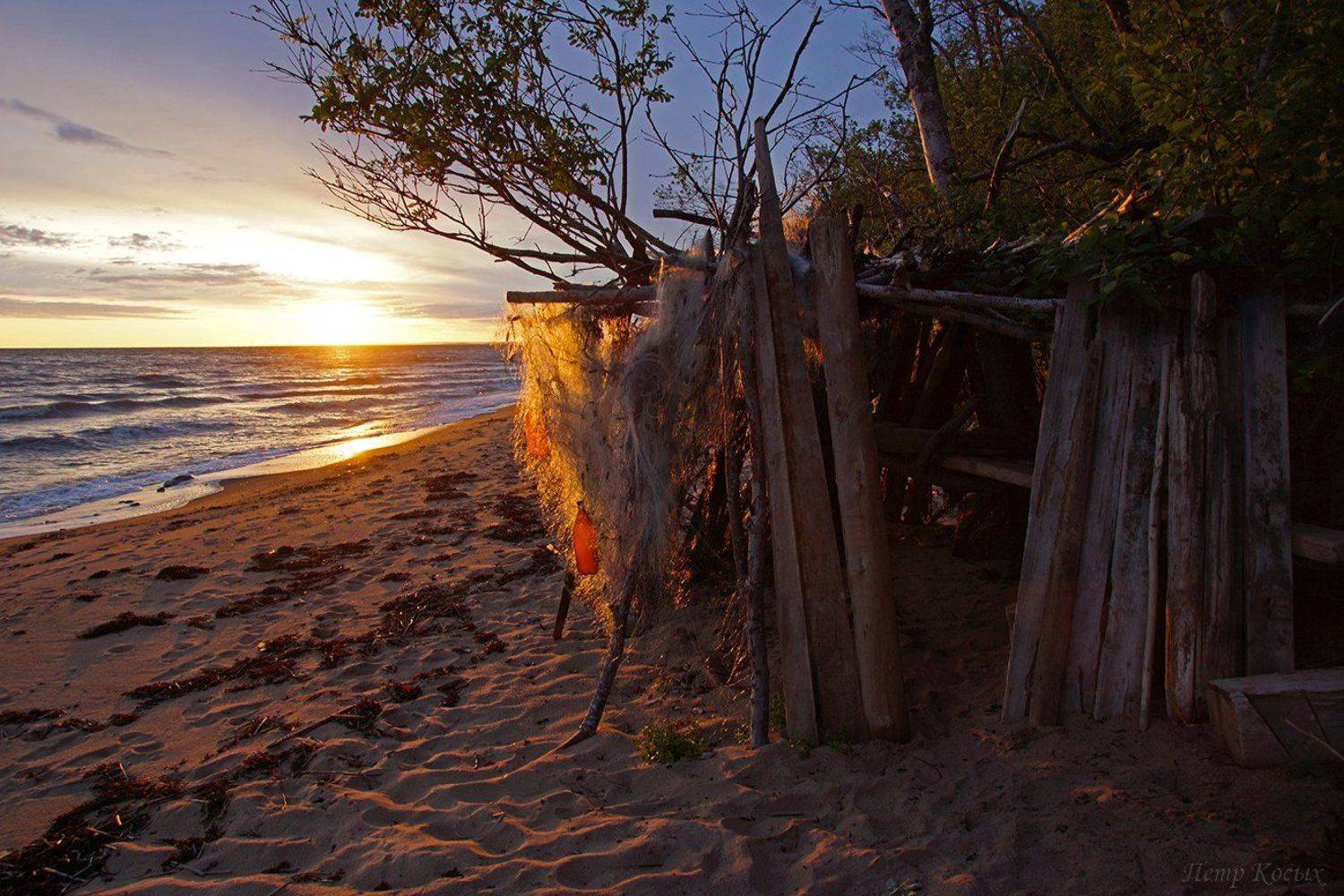 , Петр Косых