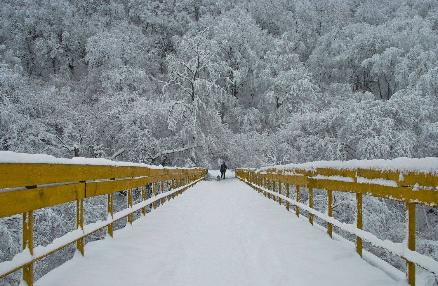 , Хасан Журтов