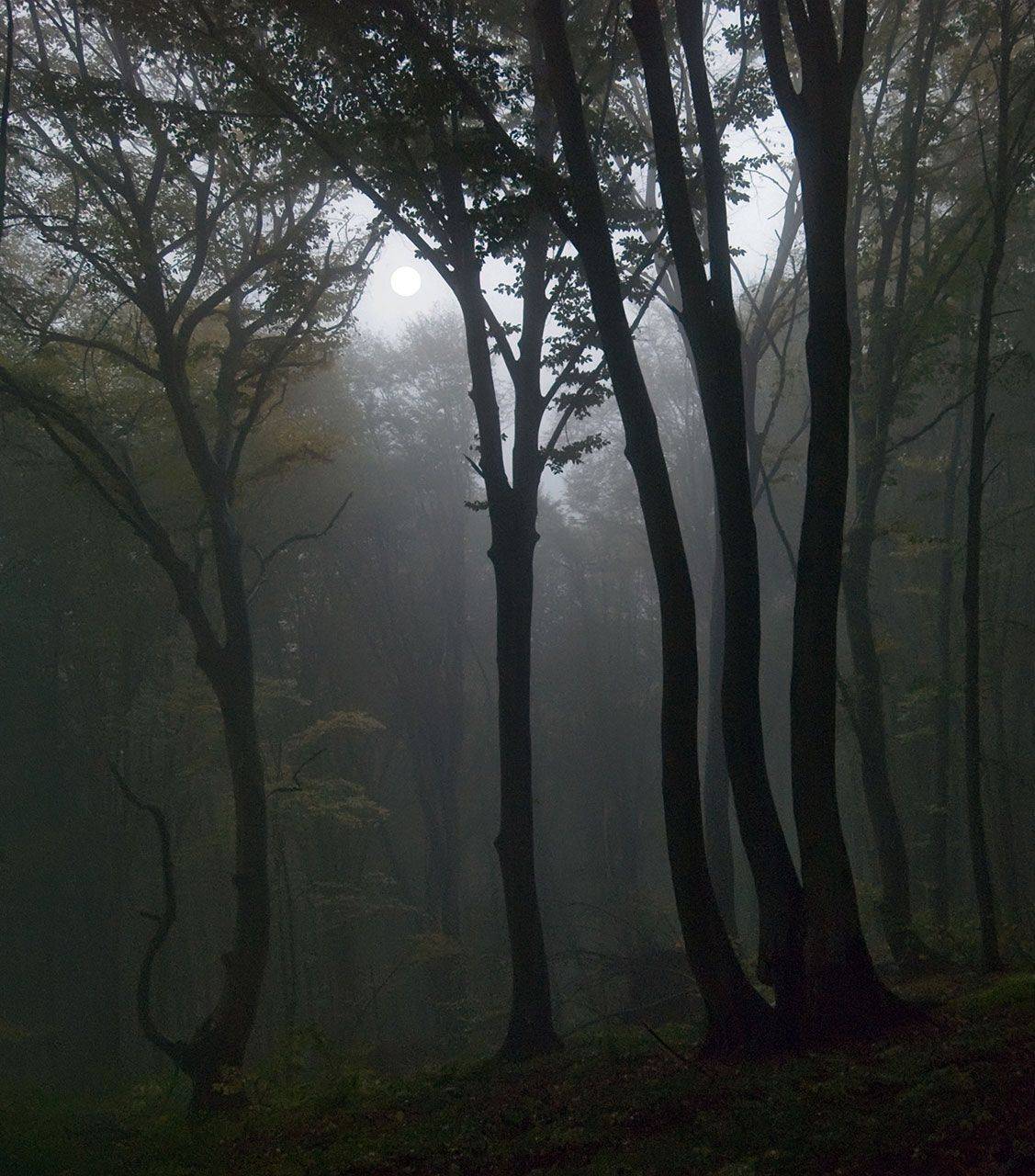 , Хасан Журтов