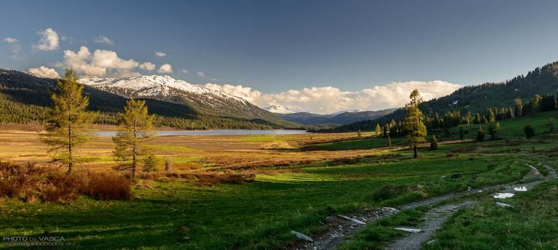 казахстан, природа, вко, алтай Восточный Казахстан 16 фото превью