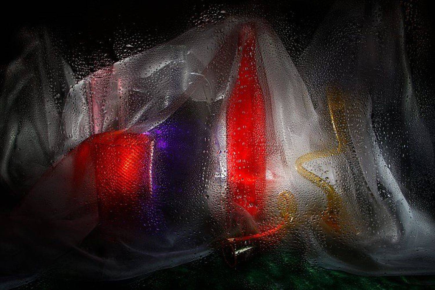 , Наталья Ковылина