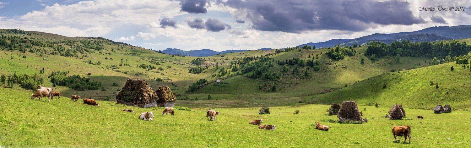 land,naturemheaven,colors,animals,house,old, Marius Turc