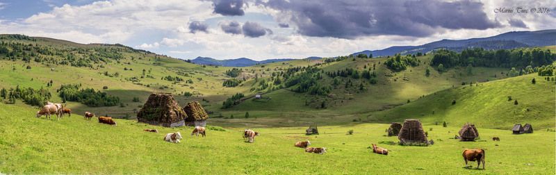 land,naturemheaven,colors,animals,house,old I wanna live here... фото превью