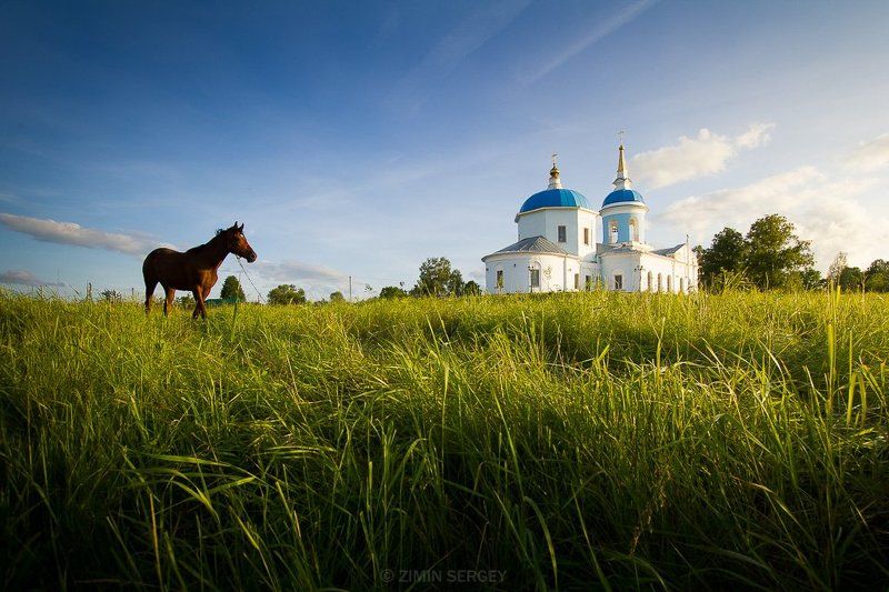 Жизнь, Закат, Пейзаж, Природа, Россия, Село, Тула Вечер в селе Першино. Тульская область. фото превью