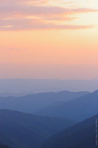 Карпатская палитра