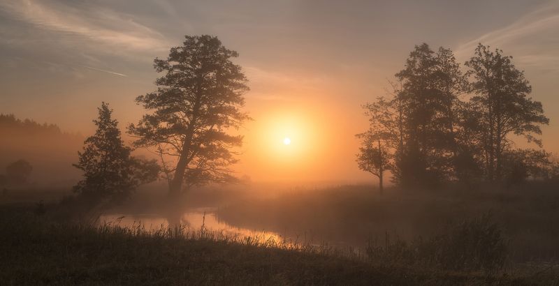 Туманное утро фото превью