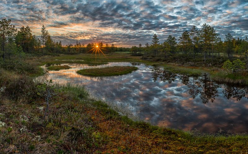 *** фото превью