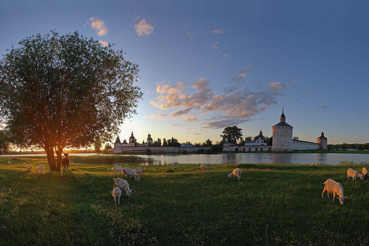 , Марина Никифорова