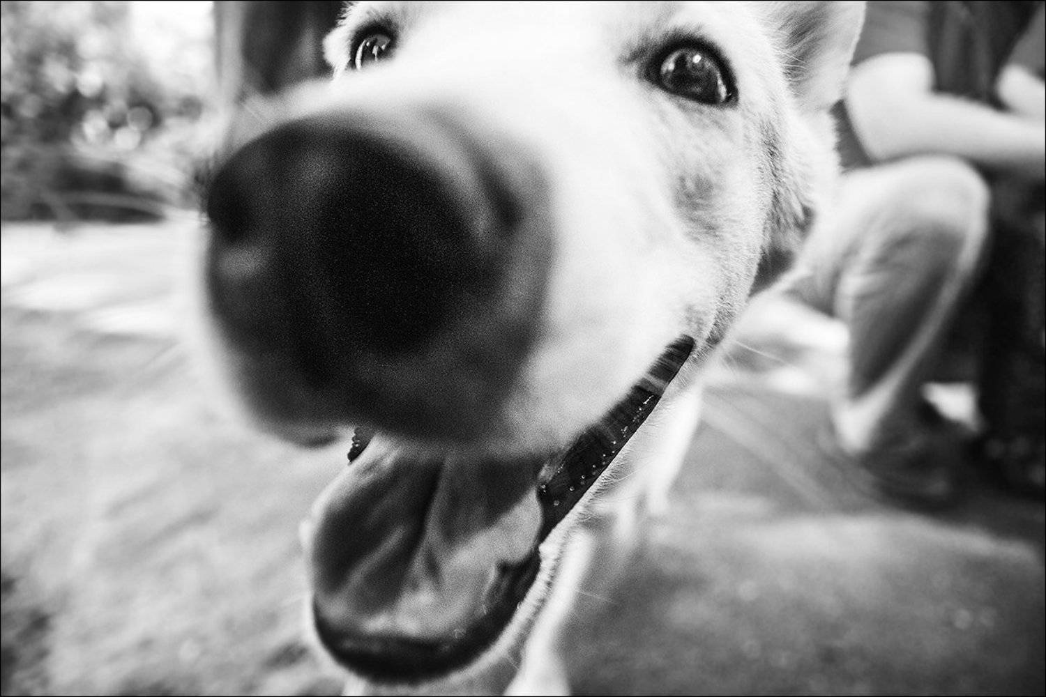 , Марина Сивакова