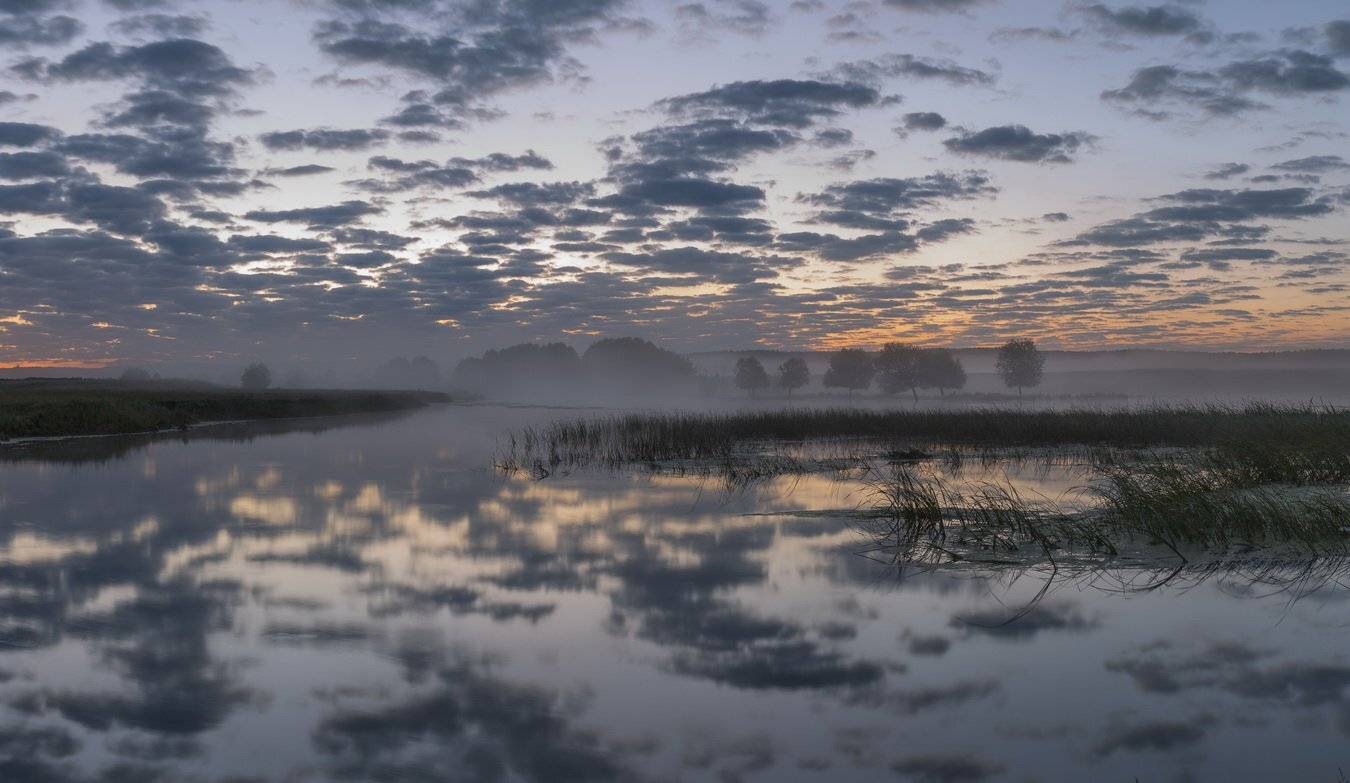 , Александр Бредихин