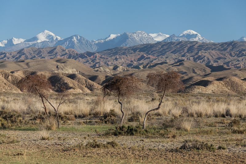 Сочетание фото превью