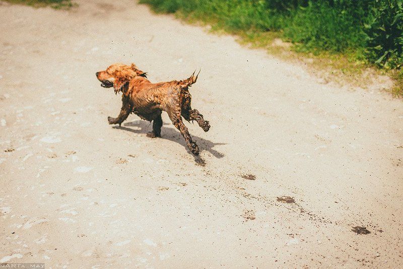 Щщастье)) фото превью